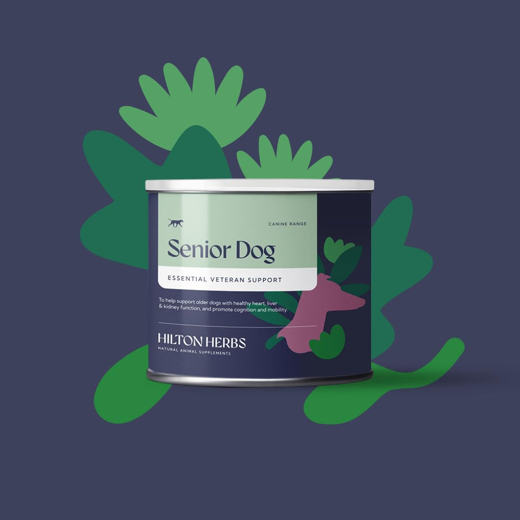 Senior Dog Health Supplement 4.4 oz Tub J224014