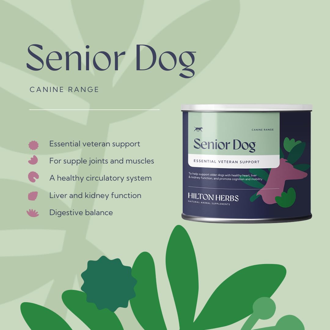 Senior Dog Health Supplement 4.4 oz Tub J224014