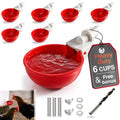 6 Pack Large Chicken Water Cups E981