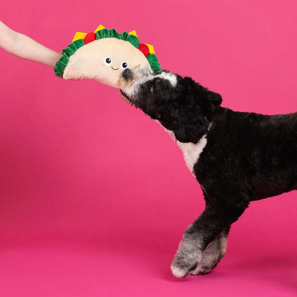 Large Plush Dog Toy O759233
