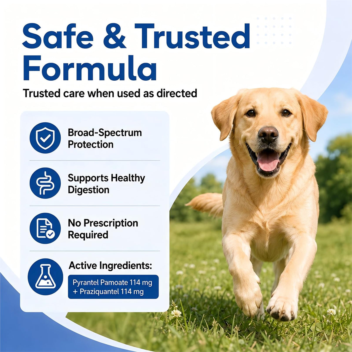Dog Dewormer Tablets 48 Count S27338