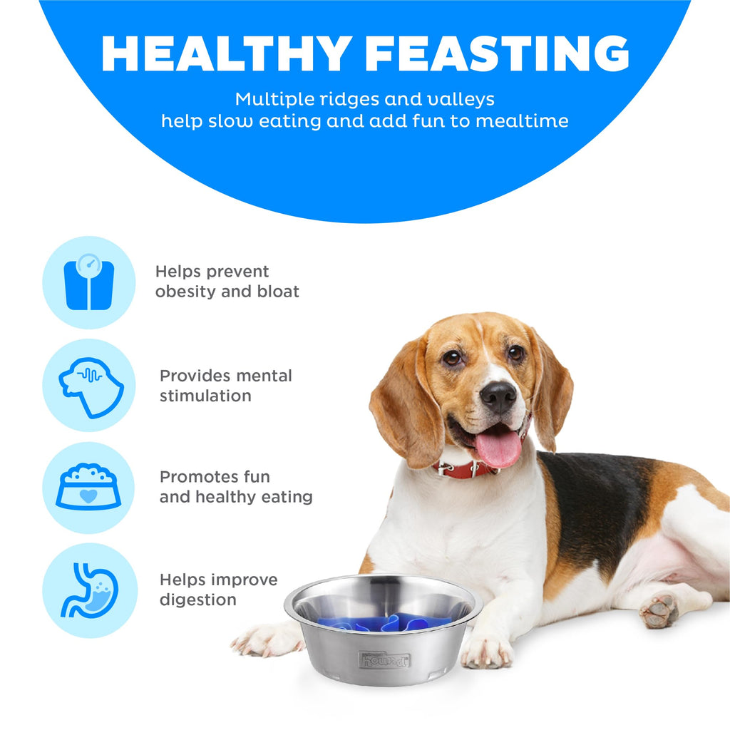 Stainless Steel Slow Feed Dog Bowl R610