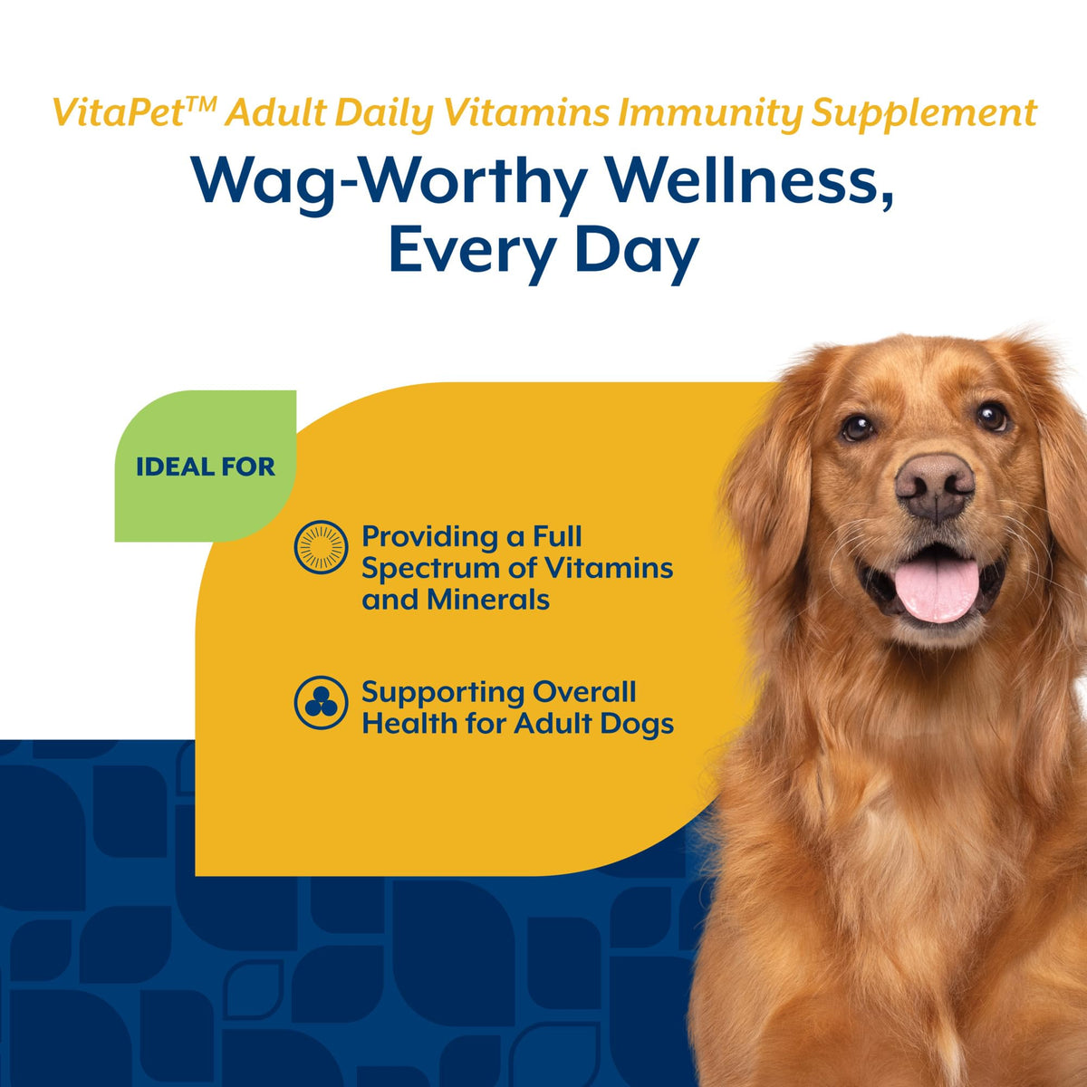 Adult Daily Vitamins with Breath Aid for Dogs 60 Ct D474