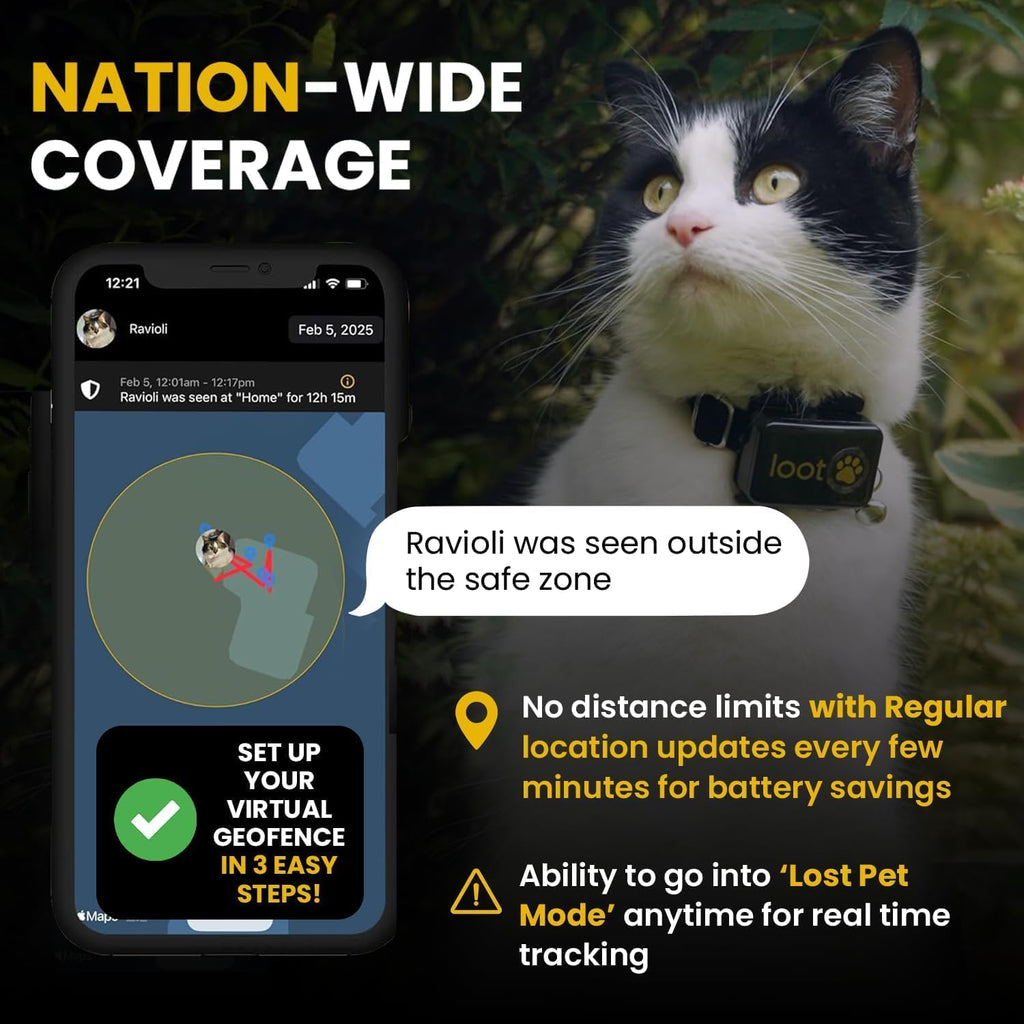 GPS Cat Tracker Collar Z8247