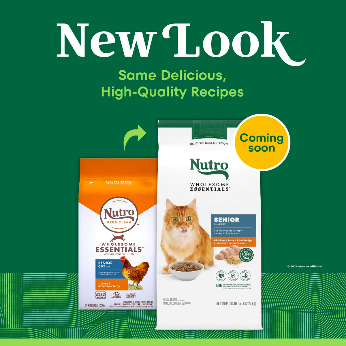 Senior Dry Cat Food Chicken & Rice 5 lb G73190