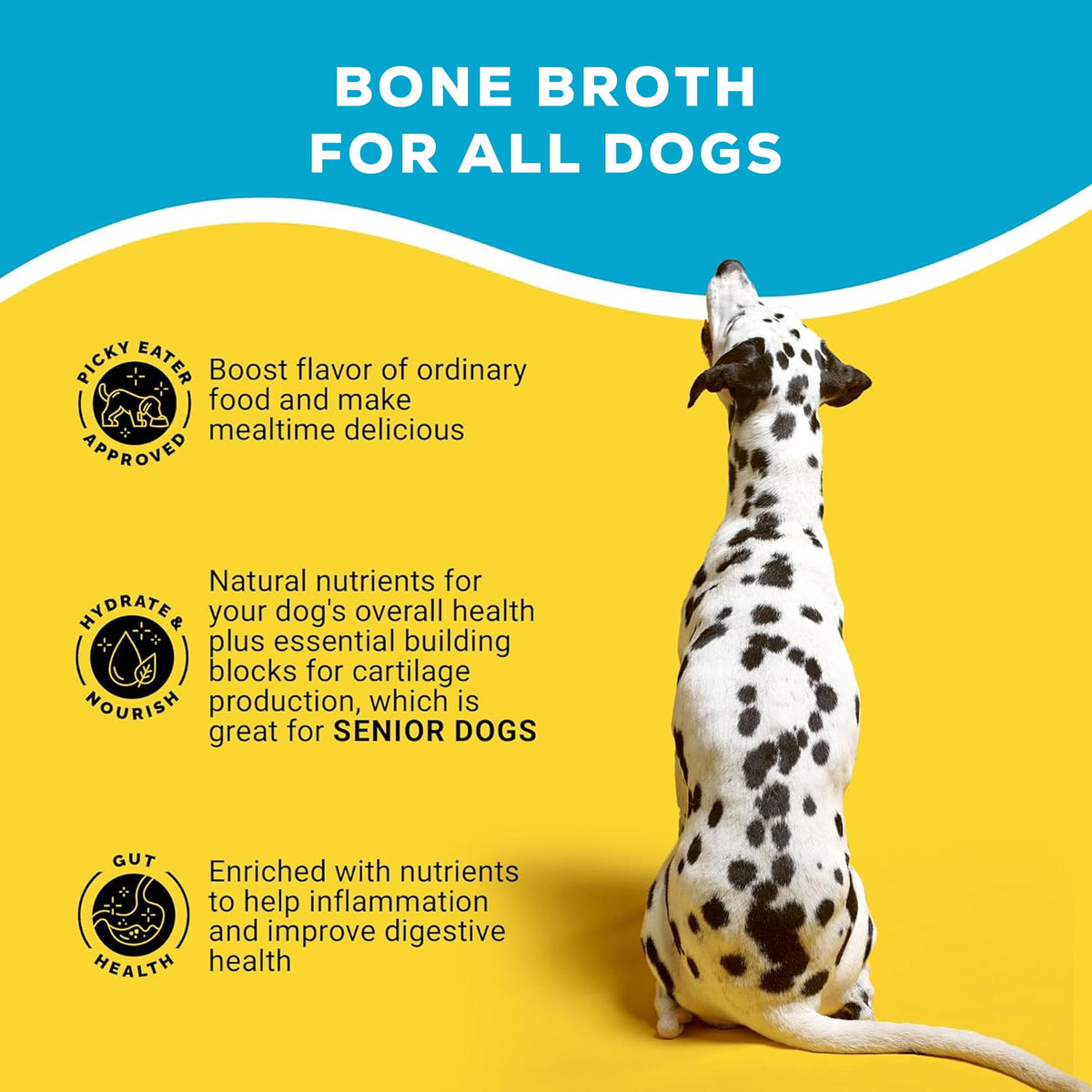 Beef Bone Broth Powder with Chondroitin Glucosamine & Turmeric F653