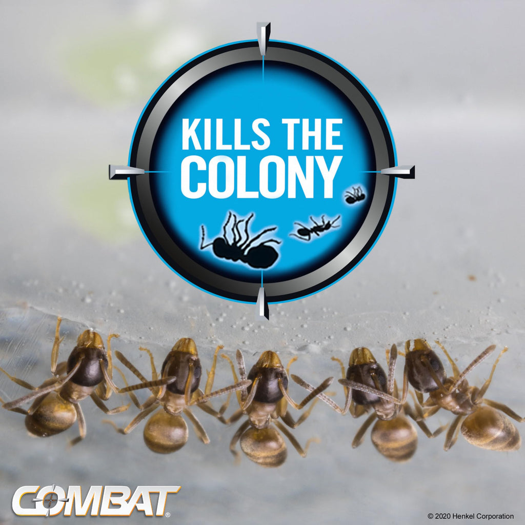 Combat Ant Killing Gel, 27 Gram M29505
