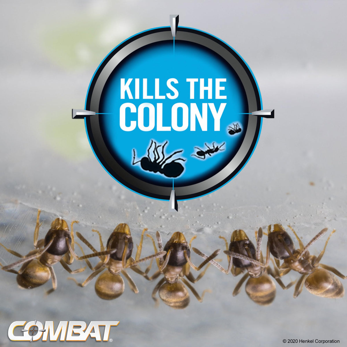 Combat Ant Killing Gel, 27 Gram M29505
