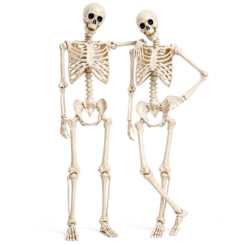 2 Pack 5.4ft Life Size Skeleton with Movable Joints C690581