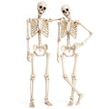 2 Pack 5.4ft Life Size Skeleton with Movable Joints C690581