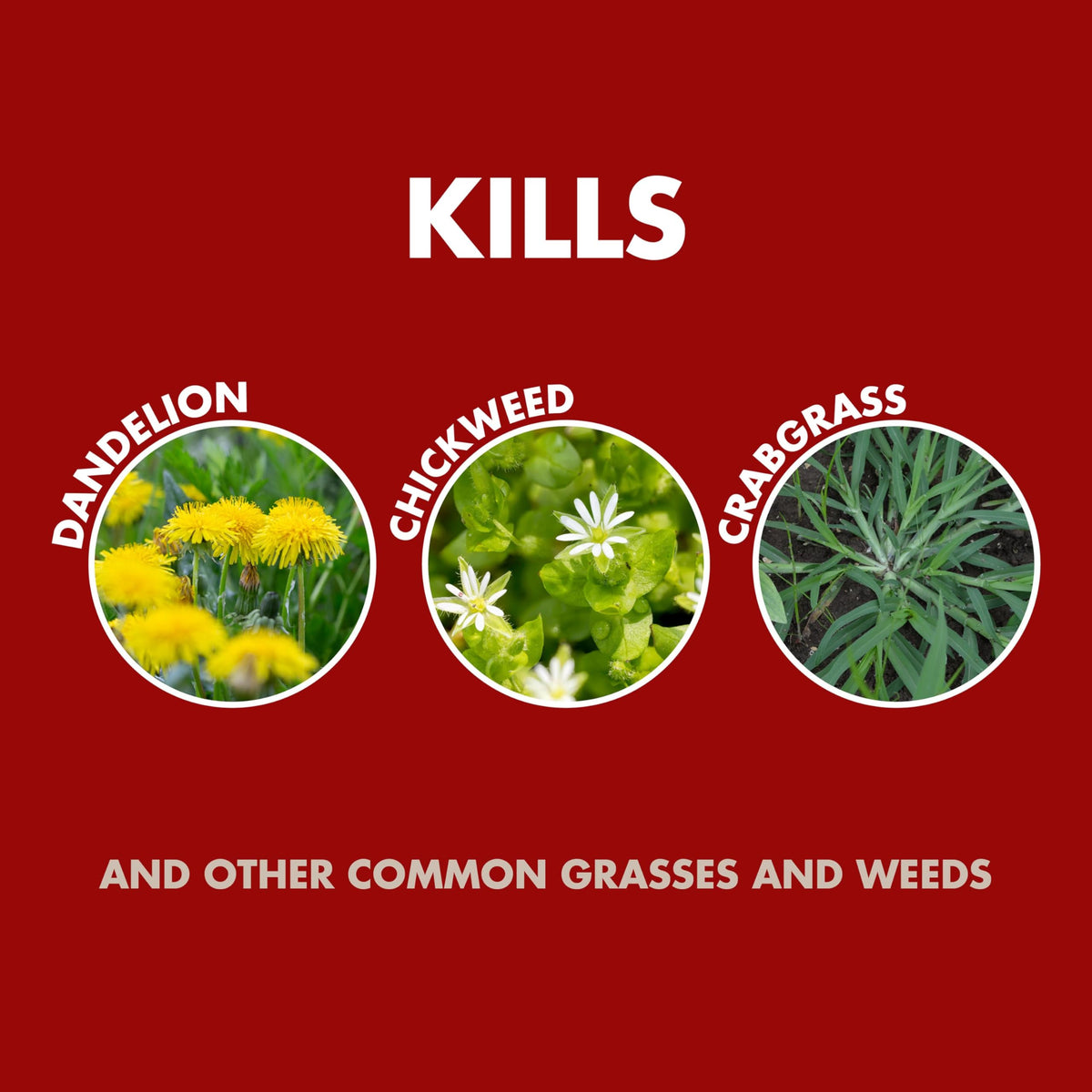 Weed & Grass Killer 1.33 Gal K57751
