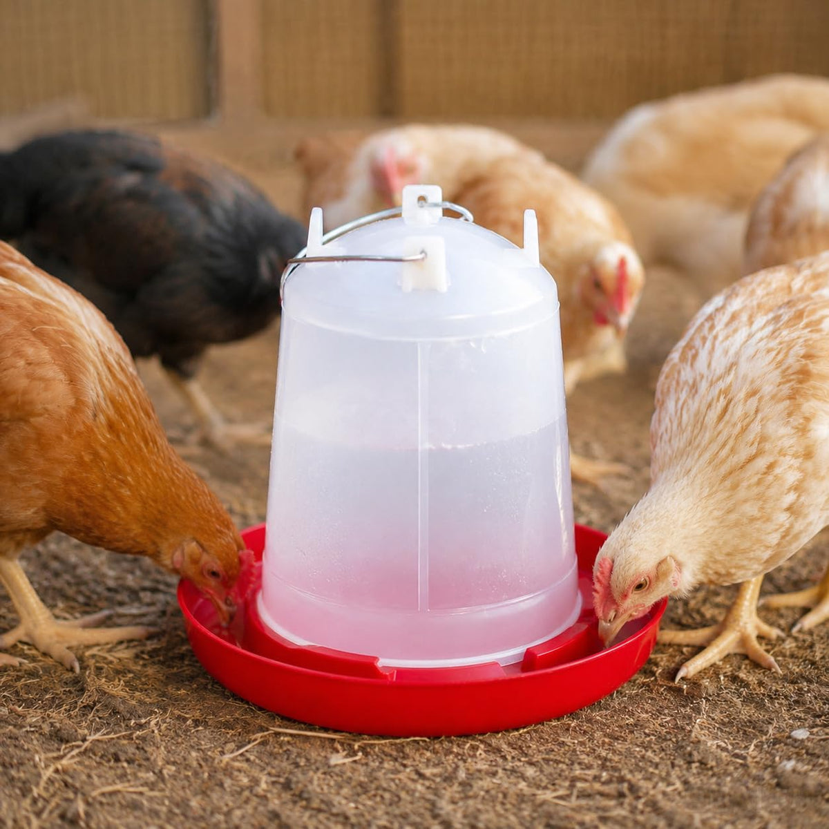 2 Pack 2 Gallon Poultry Waterer O233
