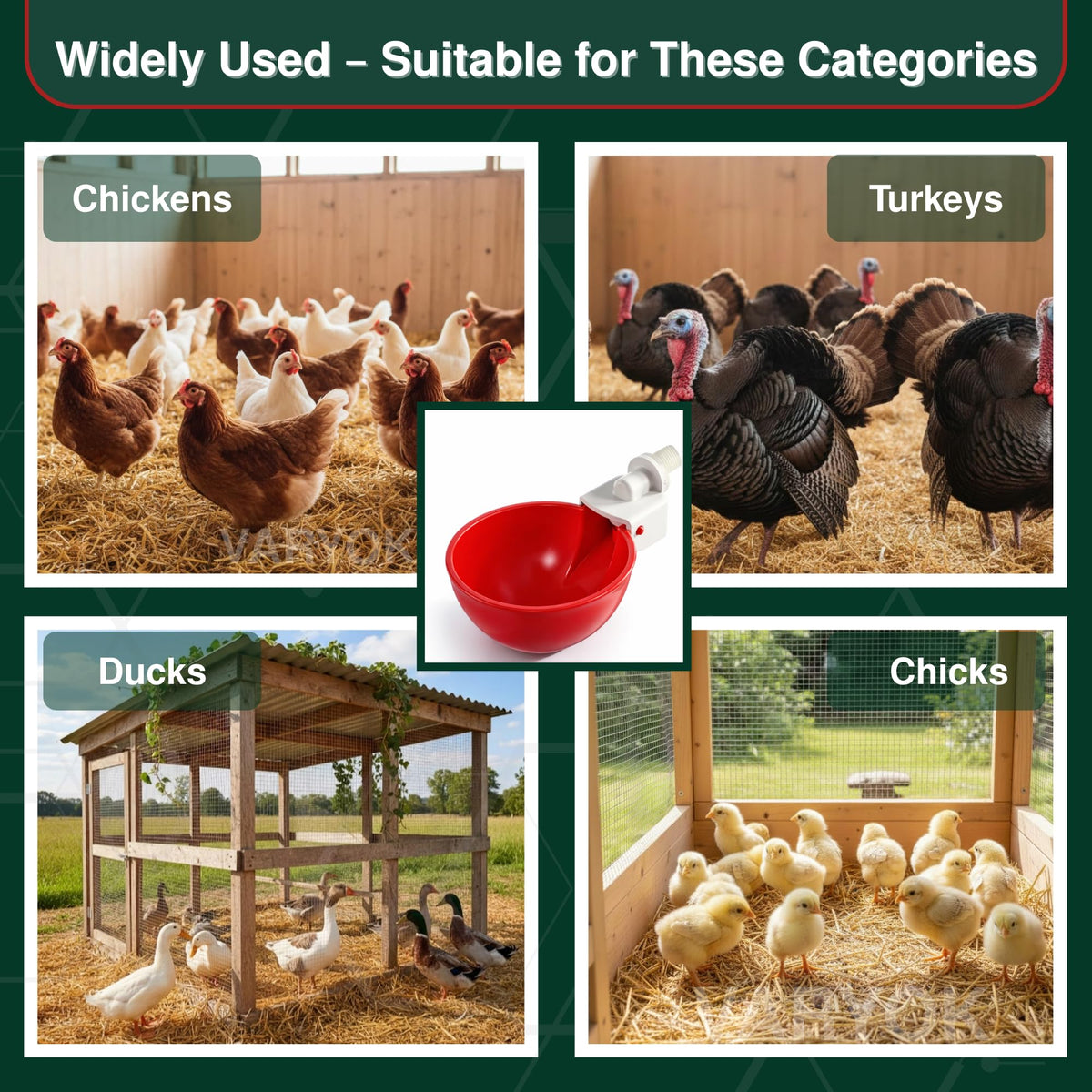 6 Pack Large Chicken Water Cups E981