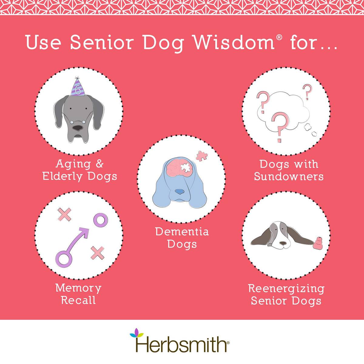 Senior Dog Supplement 60ct Small Chews O224