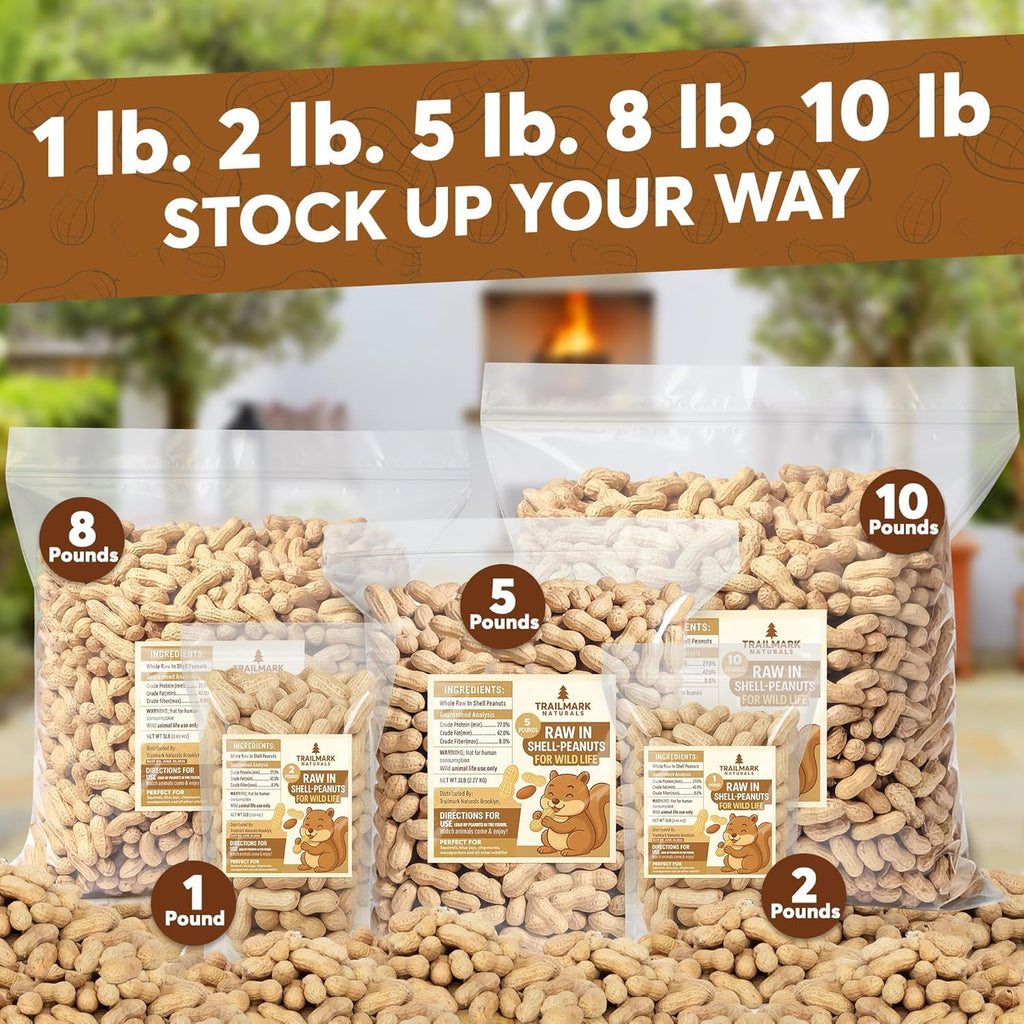Raw Peanuts for Squirrels and Birds, 5 Pounds Total L565487