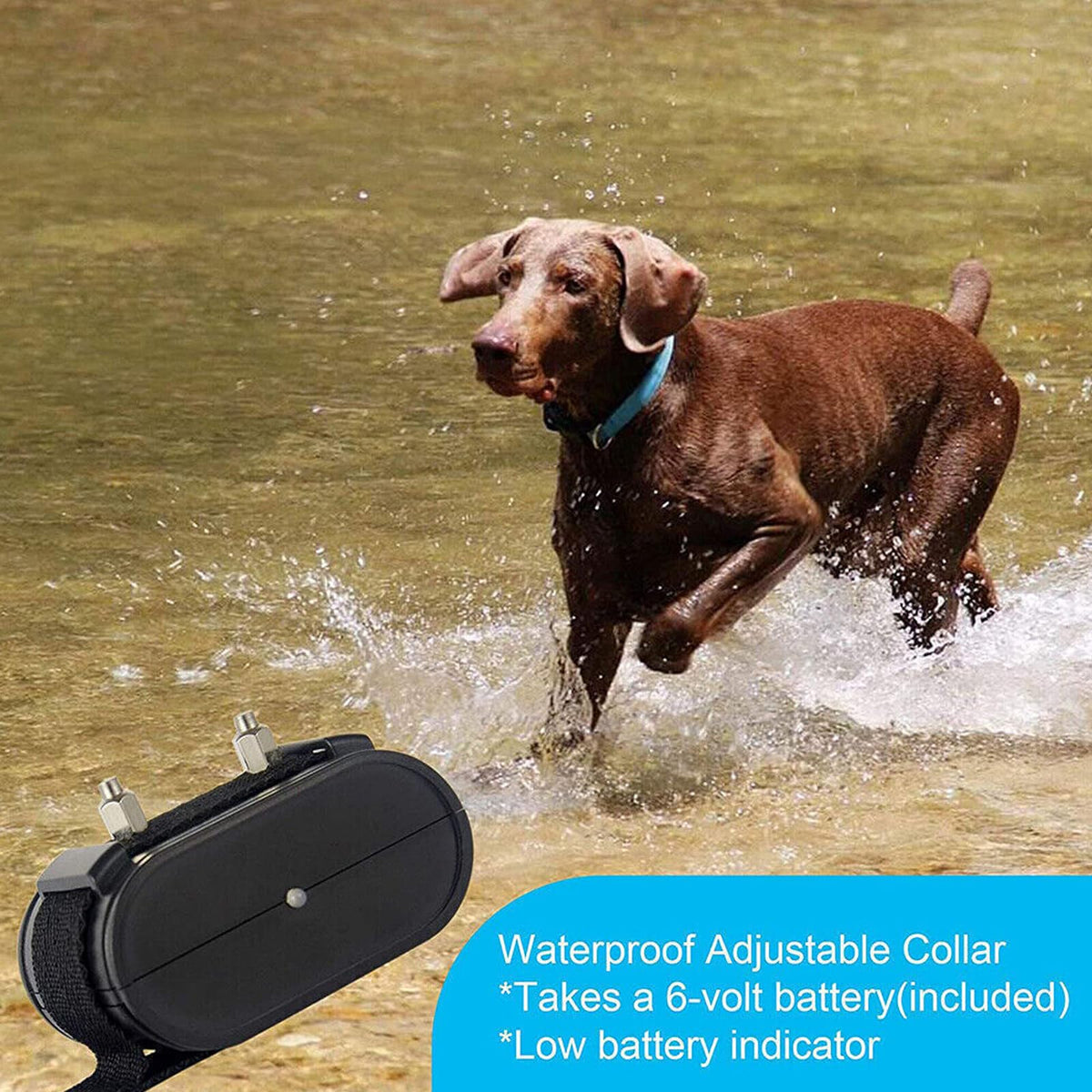 Electronic Dog Fence & Training Collar, 1/2 Acre Waterproof O3188