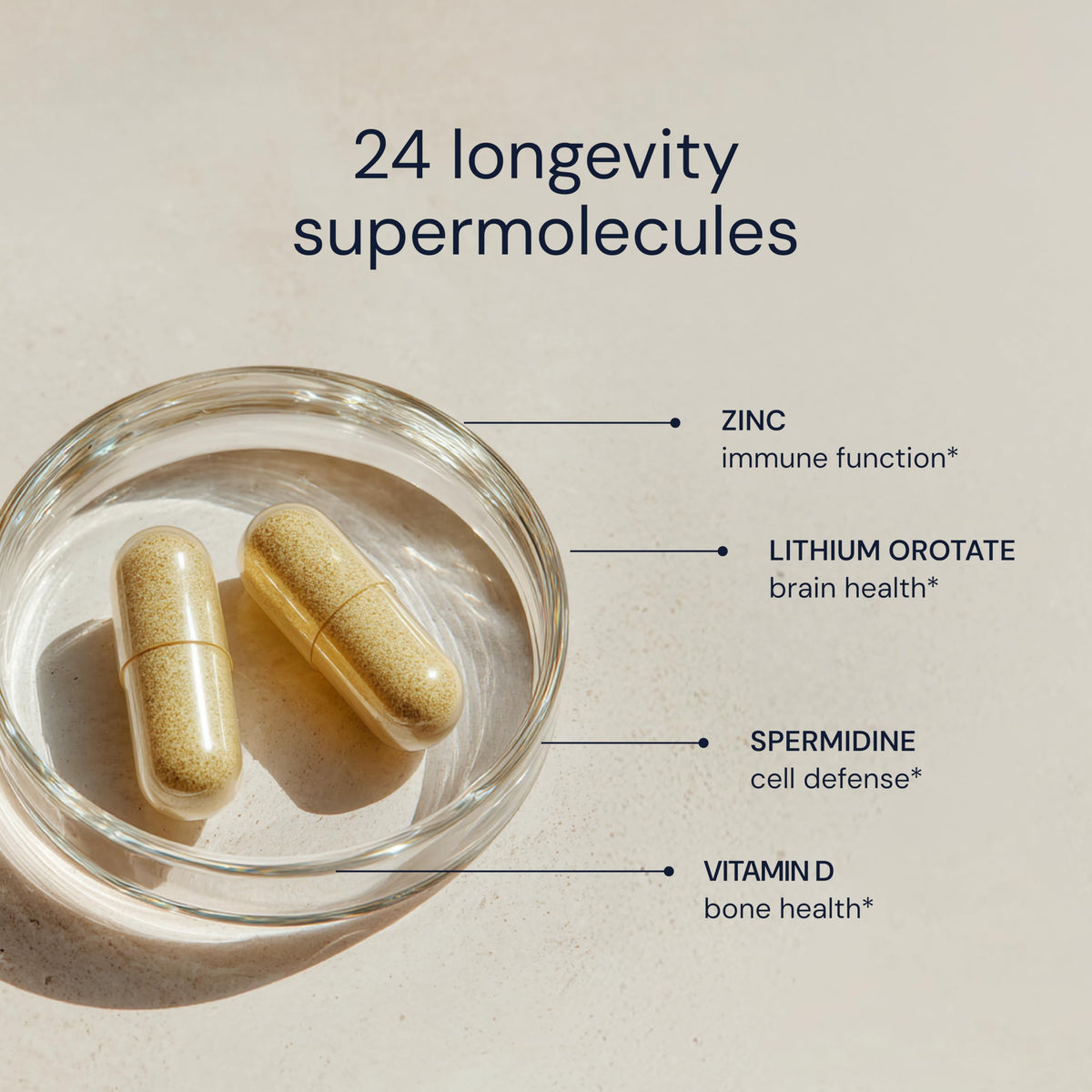 Daily Multivitamin Multimineral Antioxidant Supplement with Calcium Vitamin B1 Vitamin D Zinc Vegan Non GMO 30 Servings S66797