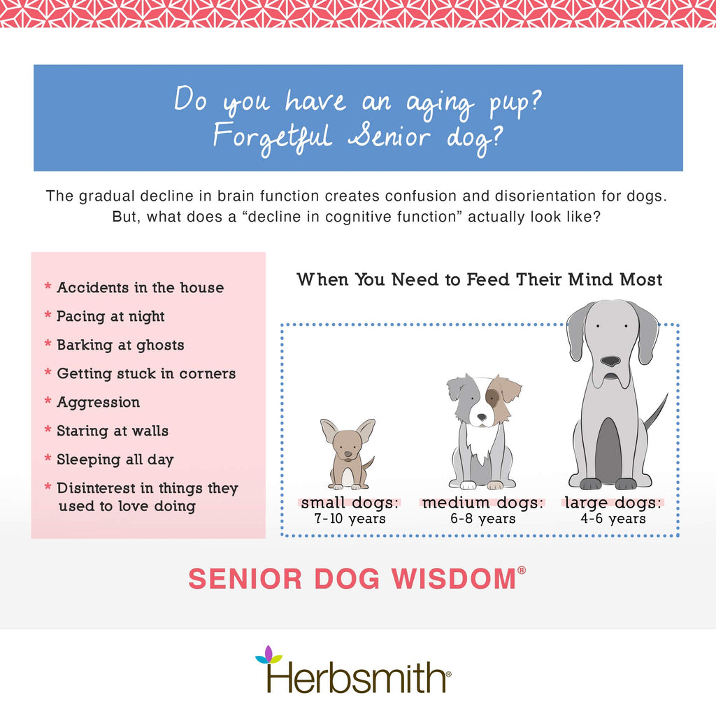 Senior Dog Supplement 60ct Small Chews O224