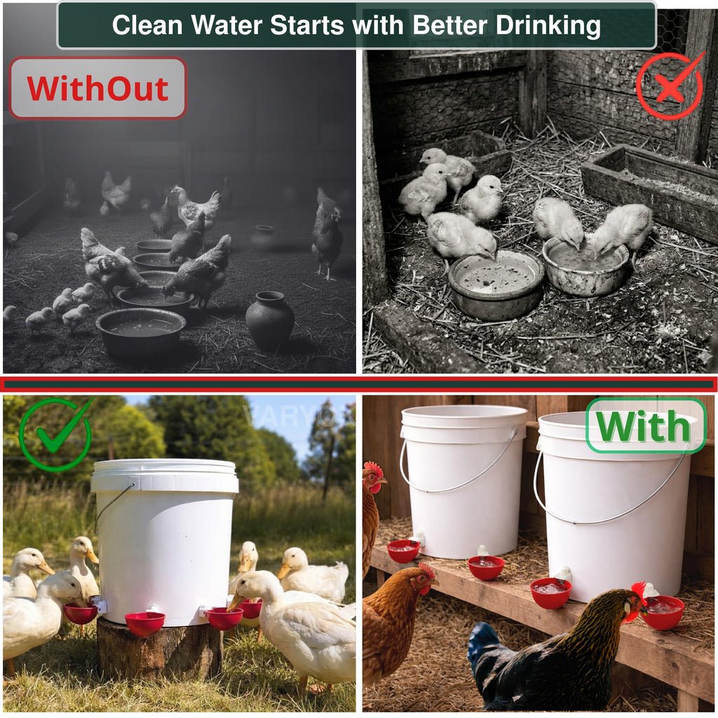 6 Pack Large Chicken Water Cups E981