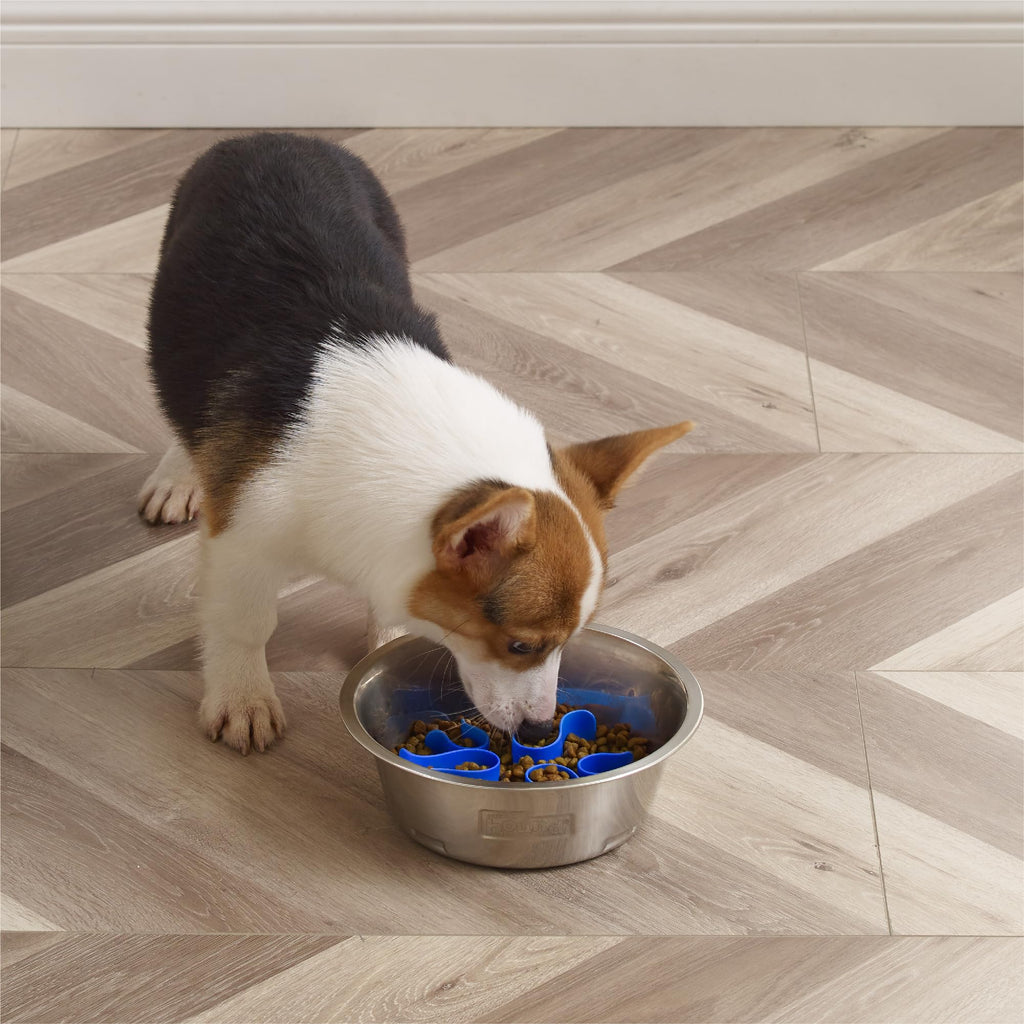 Stainless Steel Slow Feed Dog Bowl R610