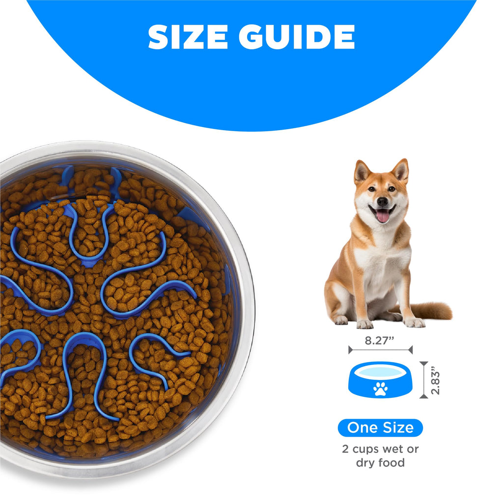 Stainless Steel Slow Feed Dog Bowl R610