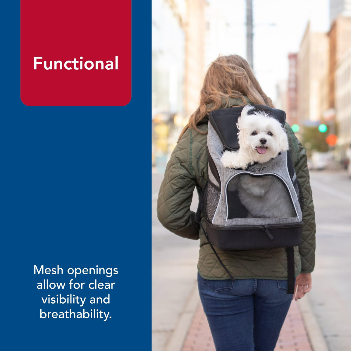 Backpack Pet Carrier H1233