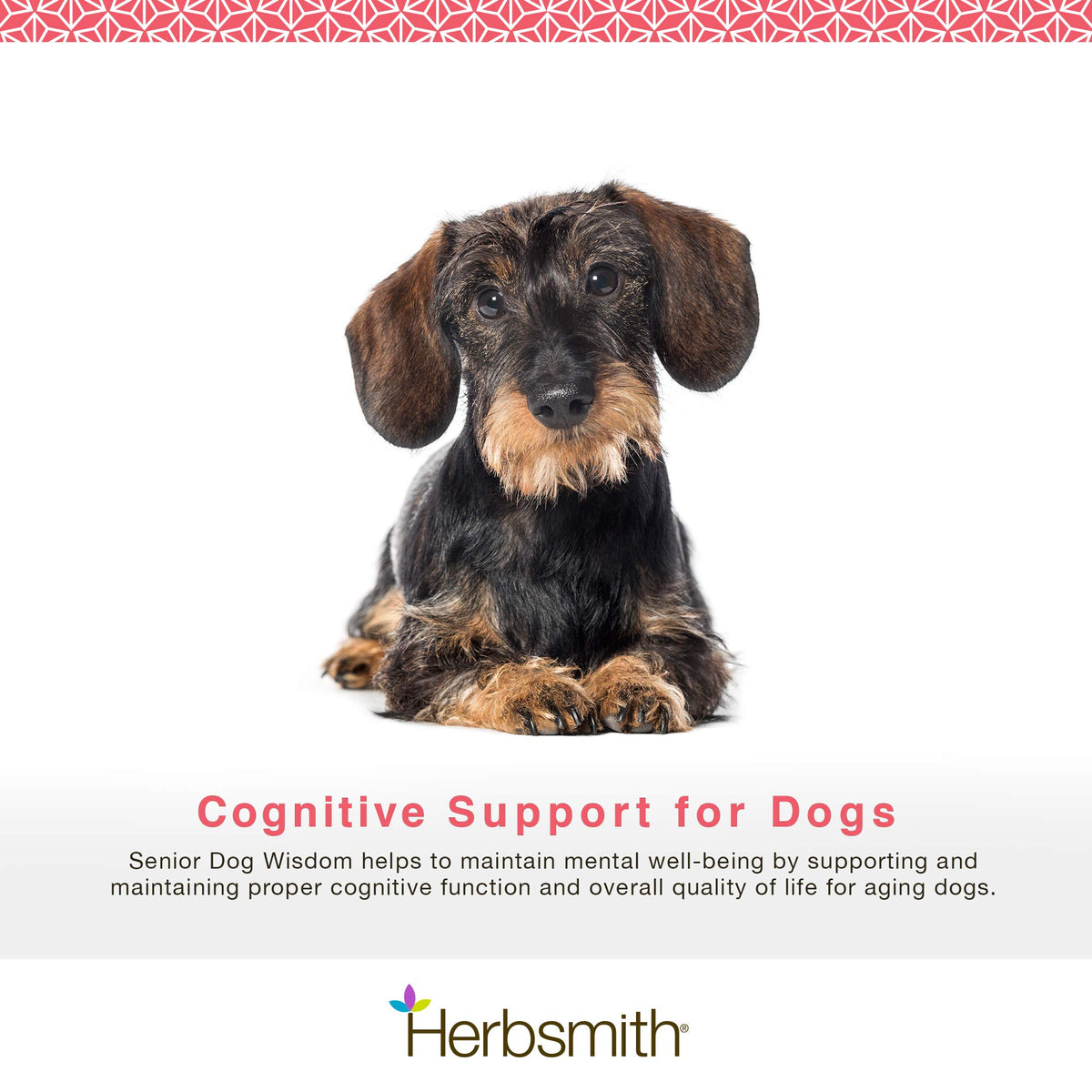 Senior Dog Supplement 60ct Small Chews O224