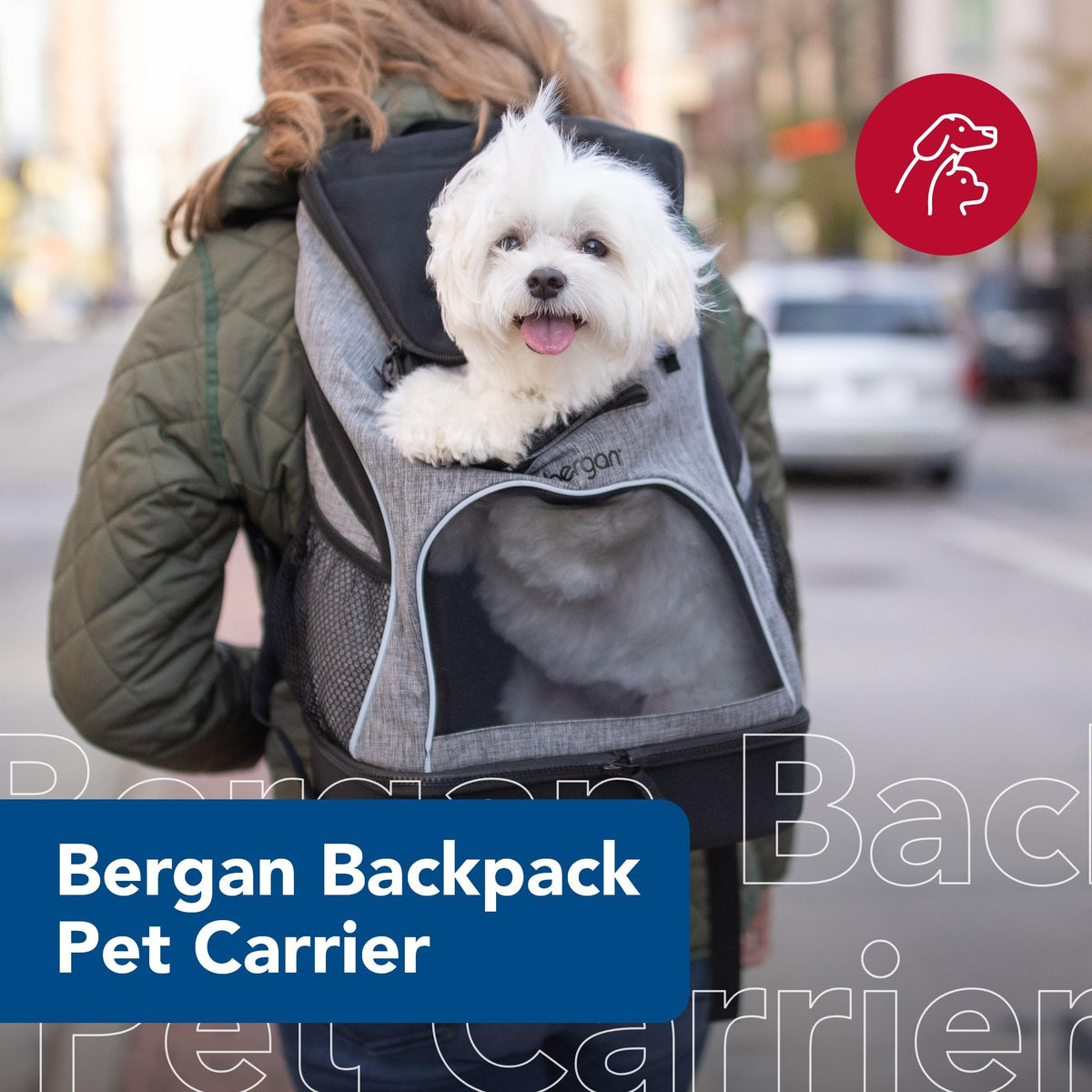 Backpack Pet Carrier H1233