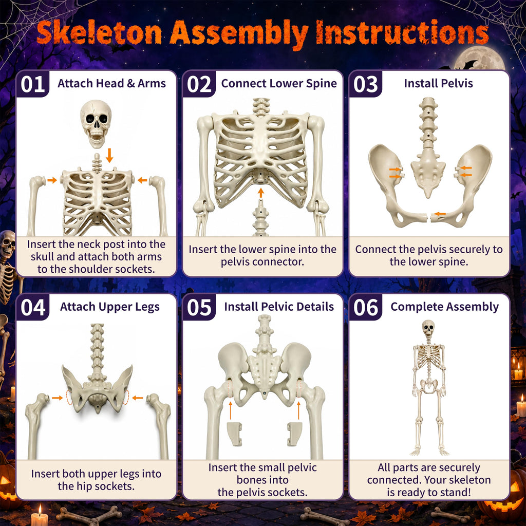 2 Pack 5.4ft Life Size Skeleton with Movable Joints C690581
